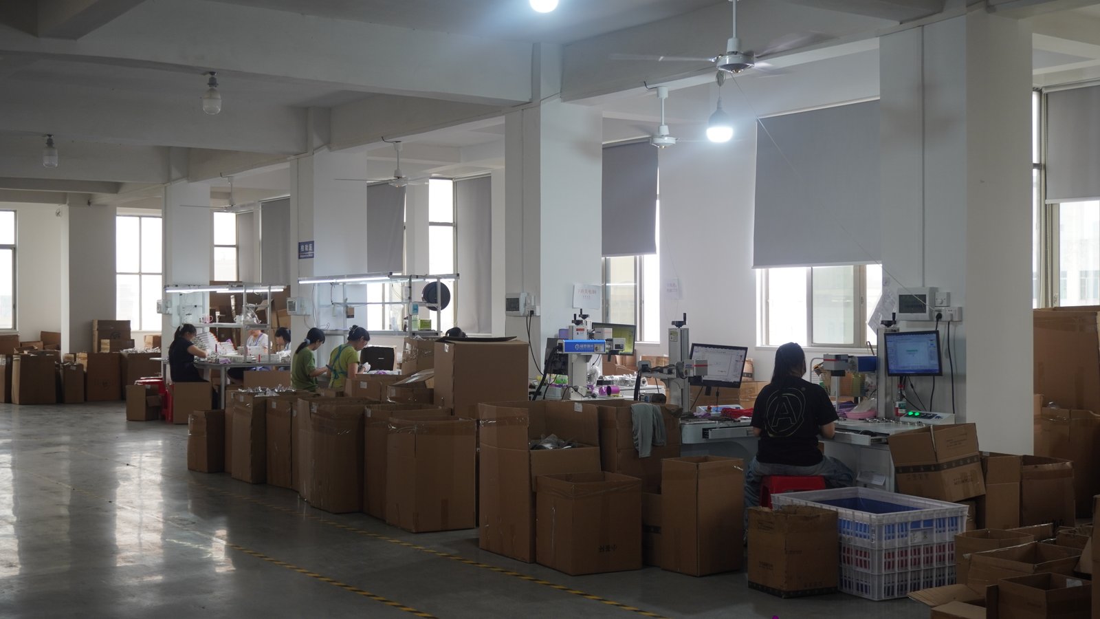 Logo & Packaging Preparation